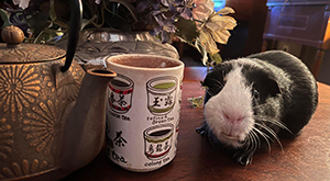 Tea and pigs